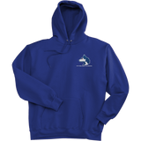 Pittsburgh Huskies Super Heavyweight Fleece Hoodie